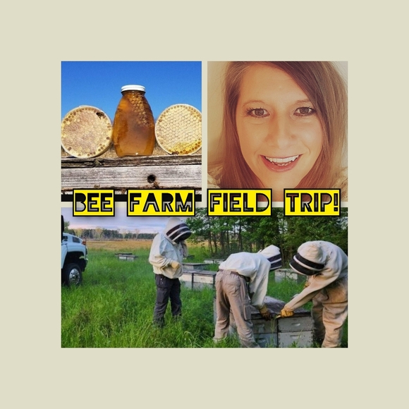 @aspfleegor ORCHID & Vine - Picture 7 of 13